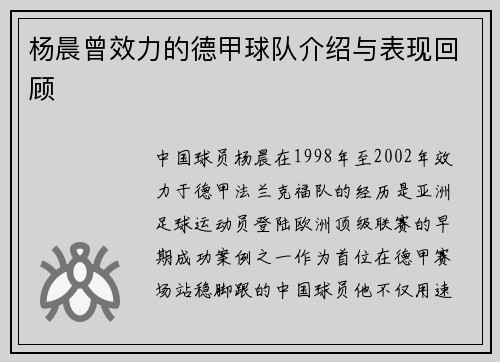 杨晨曾效力的德甲球队介绍与表现回顾